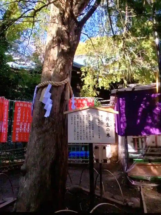 大宮八幡宮(東京都)