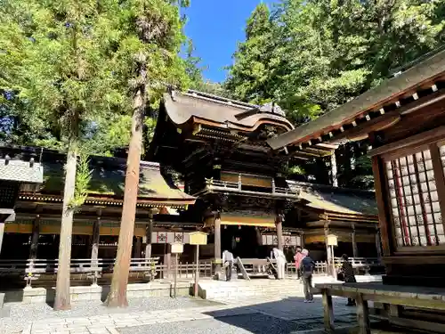 諏訪大社下社春宮の本殿・本堂