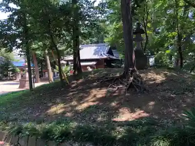 仙波氷川神社の周辺
