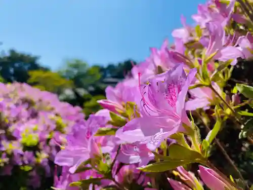 山神社(宮城県)