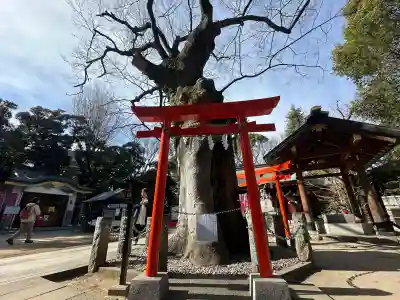 新田神社の{uncategorized: "未分類", other: "その他", undefined: "問題あり", building: "その他建物", grave: "お墓", sacred_gate: "鳥居", guardian: "狛犬", statue: "像", buddha: "仏像", history: "歴史", nature: "自然", garden: "庭園", animal: "動物", pagoda: "塔", temizu: "手水舎", mountain_gate: "山門・神門", sanctuary: "本殿・本堂", subordinate: "末社・摂社", art: "芸術", scenery: "景色", jizo: "地蔵", ema: "絵馬", goshuin: "御朱印", omikuji: "おみくじ", items: "授与品その他", amulet: "お守り", goshuincho: "御朱印帳", eats: "食事", festival: "お祭り", votive_dance: "神楽", shichigosan: "七五三参", wedding: "結婚式", experience: "体験その他", initially: "初詣", around: "周辺", anti_infection: "感染症対策"}