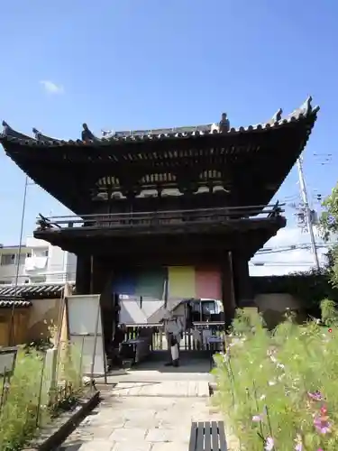 般若寺 ❁﻿コスモス寺❁(奈良県)