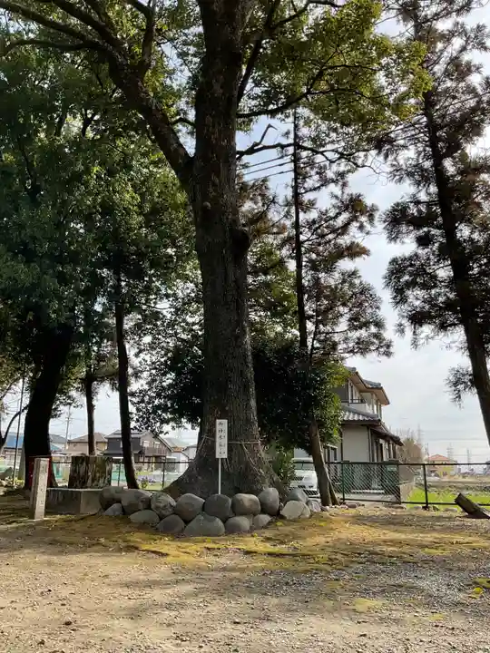 坂手神社(愛知県)