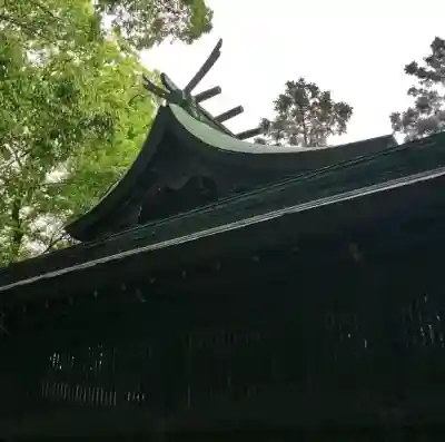 堤治神社の{uncategorized: "未分類", other: "その他", undefined: "問題あり", building: "その他建物", grave: "お墓", sacred_gate: "鳥居", guardian: "狛犬", statue: "像", buddha: "仏像", history: "歴史", nature: "自然", garden: "庭園", animal: "動物", pagoda: "塔", temizu: "手水舎", mountain_gate: "山門・神門", sanctuary: "本殿・本堂", subordinate: "末社・摂社", art: "芸術", scenery: "景色", jizo: "地蔵", ema: "絵馬", goshuin: "御朱印", omikuji: "おみくじ", items: "授与品その他", amulet: "お守り", goshuincho: "御朱印帳", eats: "食事", festival: "お祭り", votive_dance: "神楽", shichigosan: "七五三参", wedding: "結婚式", experience: "体験その他", initially: "初詣", around: "周辺", anti_infection: "感染症対策"}
