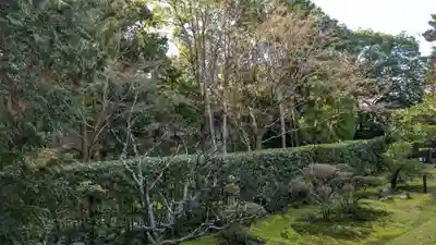 桂春院(京都府)