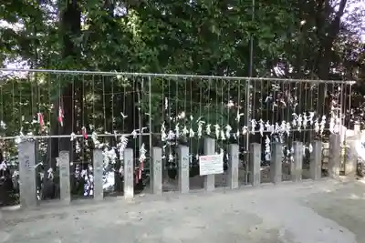 白山神社（二子町）のおみくじ