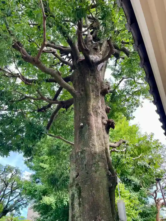 円光院(東京都)