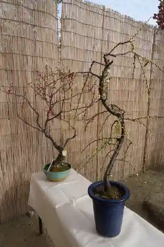 菅原天満宮（菅原神社）の自然