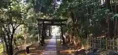 渋谷氷川神社の鳥居