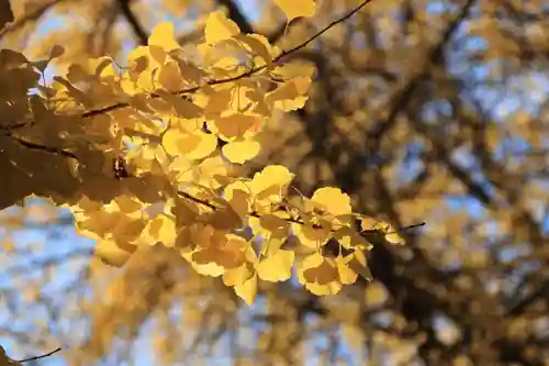 熊野福藏神社の自然