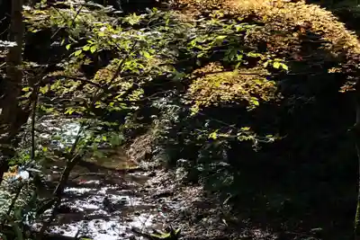 隠津島神社の周辺