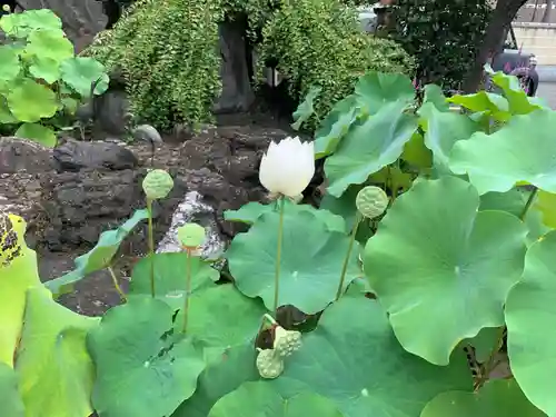 東覚寺(東京都)