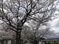 常国寺(新潟県)