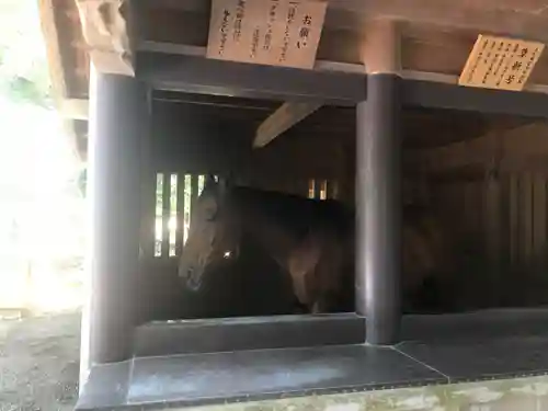 伊勢神宮内宮（皇大神宮）の動物