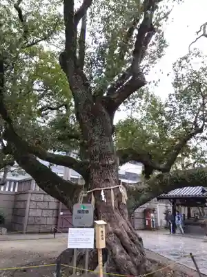 難波神社(大阪府)