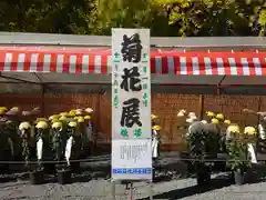 秩父神社(埼玉県)