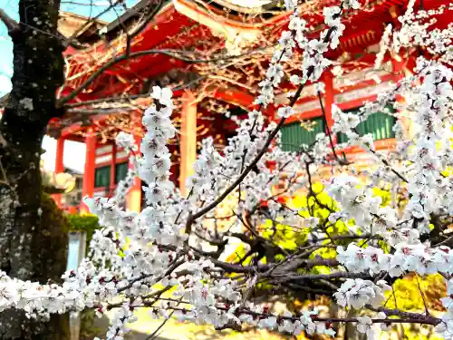 甲斐善光寺の自然