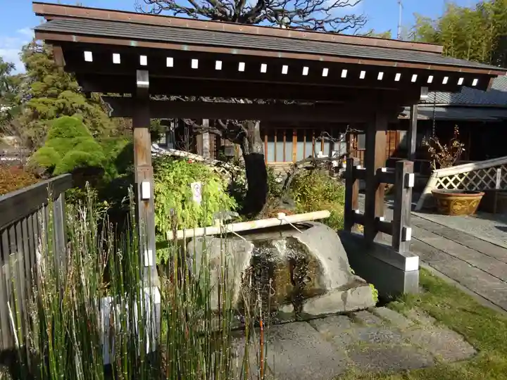 妙蓮寺(神奈川県)