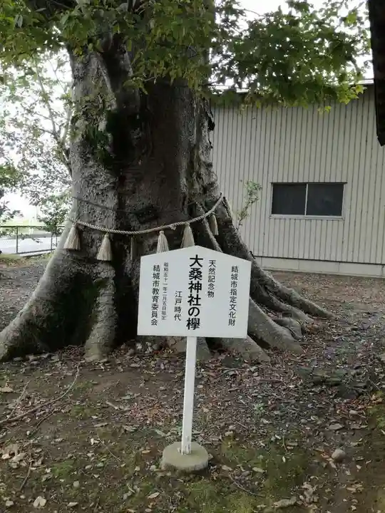 大桑神社の自然