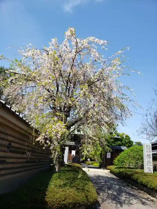 福蔵院(東京都)