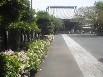 本興寺のその他建物