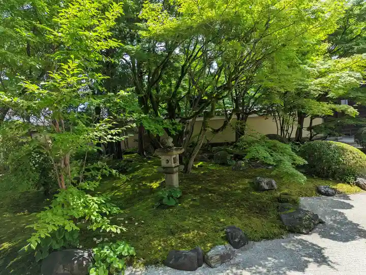 妙顯寺(妙顕寺)(京都府)
