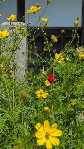 法然寺(京都府)