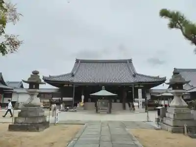 金倉寺の本殿・本堂