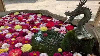 嵐山瀧神社の手水舎