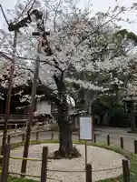 靖國神社(東京都)