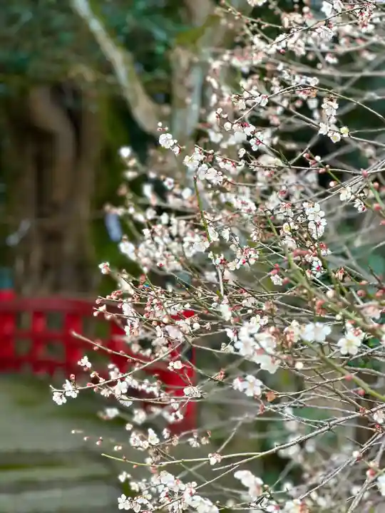 常宮神社(福井県)