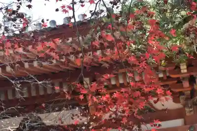 醍醐寺のその他建物