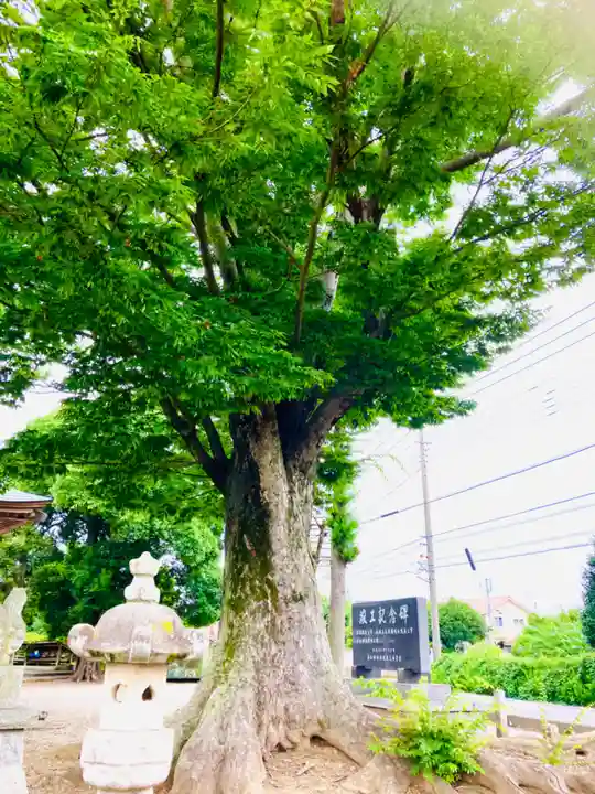 桑山神社(茨城県)