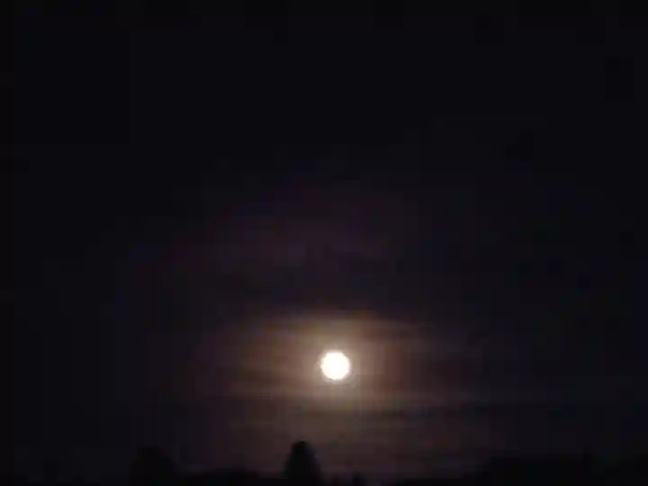 稲荷神社(茨城県)