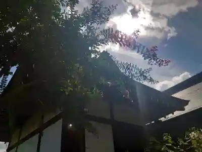 天龍寺(京都府)