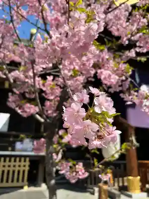 東京大神宮(東京都)