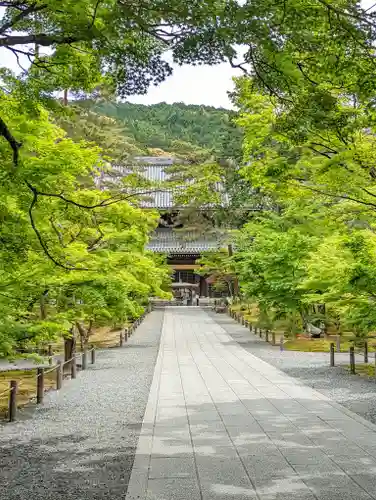南禅寺(京都府)