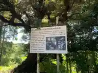 儀林寺のその他建物