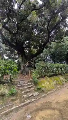 新日吉神宮(京都府)