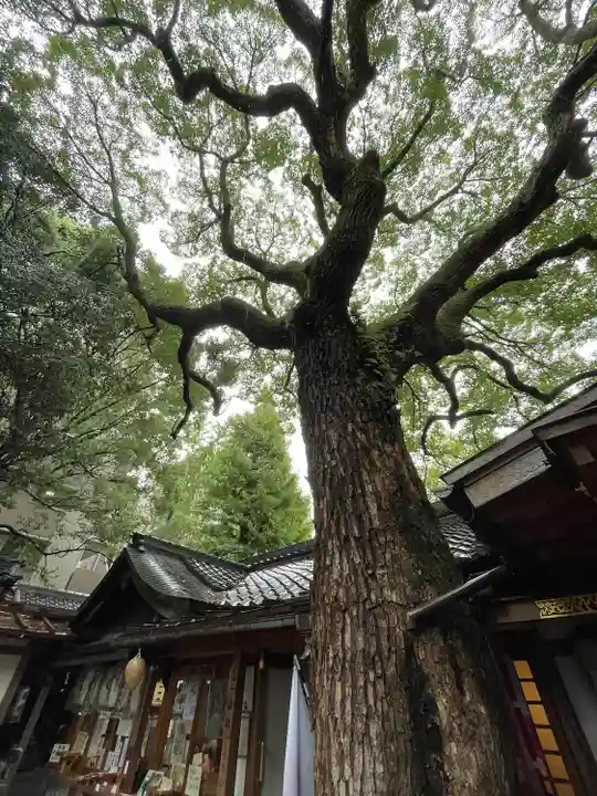 若一神社(京都府)