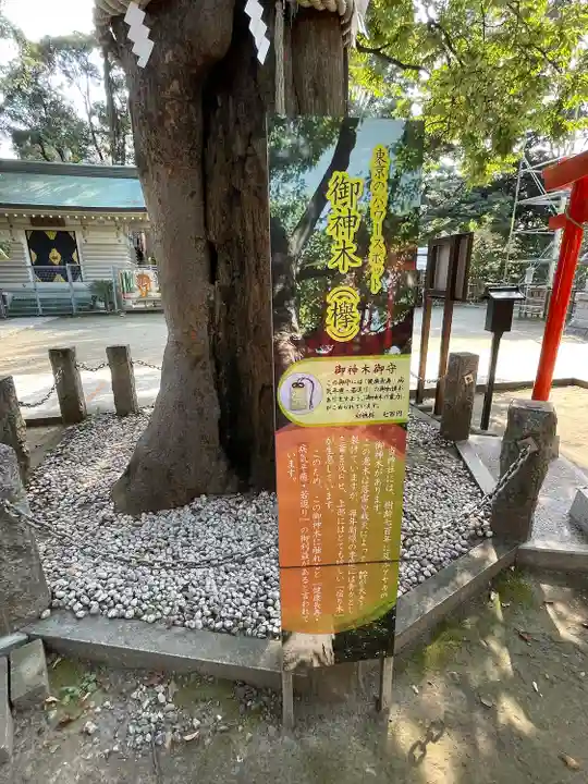 新田神社の自然