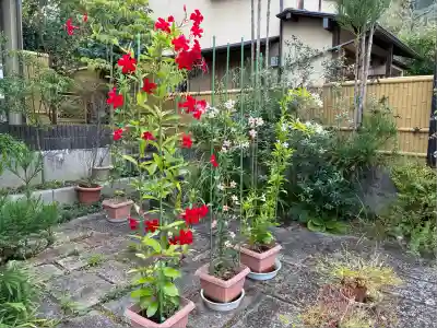 法寳閣檀林寺(京都府)