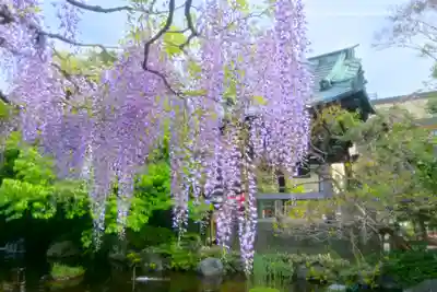 西新井大師総持寺(東京都)