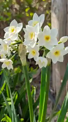 後白河院御聖蹟　法住寺(京都府)