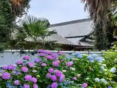 性海寺の本殿