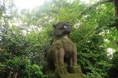 愛宕神社の狛犬