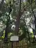 明治神宮の{uncategorized: "未分類", other: "その他", undefined: "問題あり", building: "その他建物", grave: "お墓", sacred_gate: "鳥居", guardian: "狛犬", statue: "像", buddha: "仏像", history: "歴史", nature: "自然", garden: "庭園", animal: "動物", pagoda: "塔", temizu: "手水舎", mountain_gate: "山門・神門", sanctuary: "本殿・本堂", subordinate: "末社・摂社", art: "芸術", scenery: "景色", jizo: "地蔵", ema: "絵馬", goshuin: "御朱印", omikuji: "おみくじ", items: "授与品その他", amulet: "お守り", goshuincho: "御朱印帳", eats: "食事", festival: "お祭り", votive_dance: "神楽", shichigosan: "七五三参", wedding: "結婚式", experience: "体験その他", initially: "初詣", around: "周辺", anti_infection: "感染症対策"}