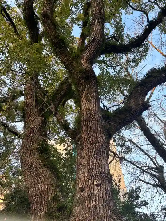 鳥飼八幡宮の{uncategorized: "未分類", other: "その他", undefined: "問題あり", building: "その他建物", grave: "お墓", sacred_gate: "鳥居", guardian: "狛犬", statue: "像", buddha: "仏像", history: "歴史", nature: "自然", garden: "庭園", animal: "動物", pagoda: "塔", temizu: "手水舎", mountain_gate: "山門・神門", sanctuary: "本殿・本堂", subordinate: "末社・摂社", art: "芸術", scenery: "景色", jizo: "地蔵", ema: "絵馬", goshuin: "御朱印", omikuji: "おみくじ", items: "授与品その他", amulet: "お守り", goshuincho: "御朱印帳", eats: "食事", festival: "お祭り", votive_dance: "神楽", shichigosan: "七五三参", wedding: "結婚式", experience: "体験その他", initially: "初詣", around: "周辺", anti_infection: "感染症対策"}