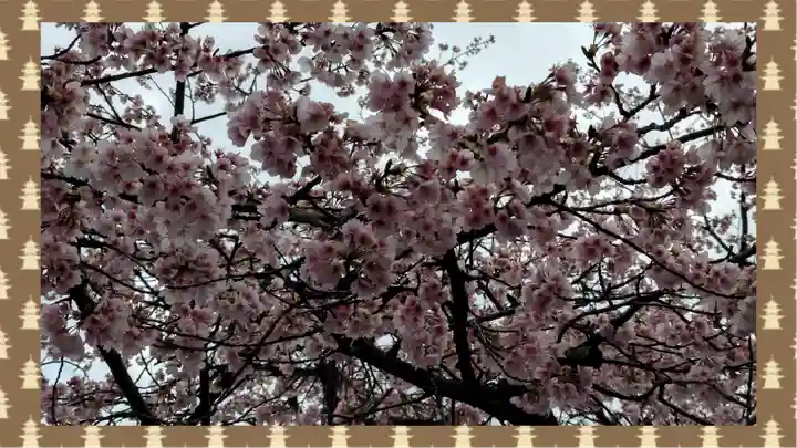 密藏院(埼玉県)