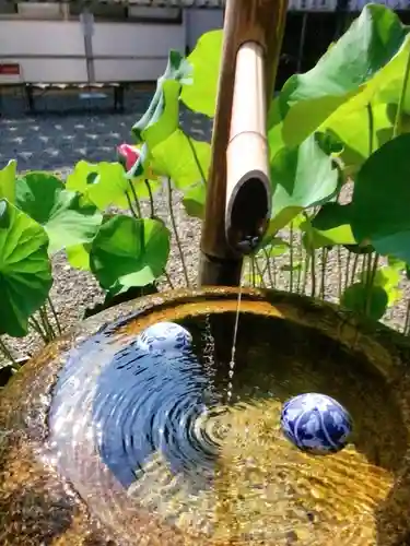 下高井戸八幡神社(東京都)